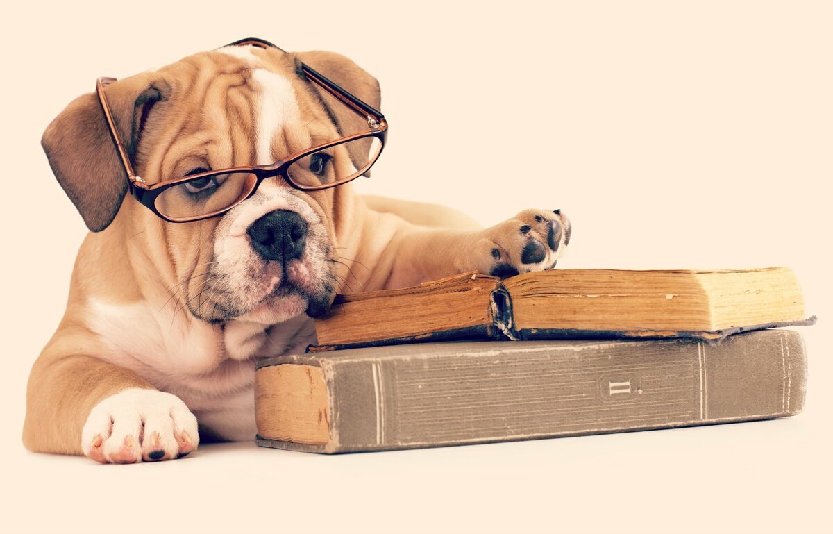 Книги про собак