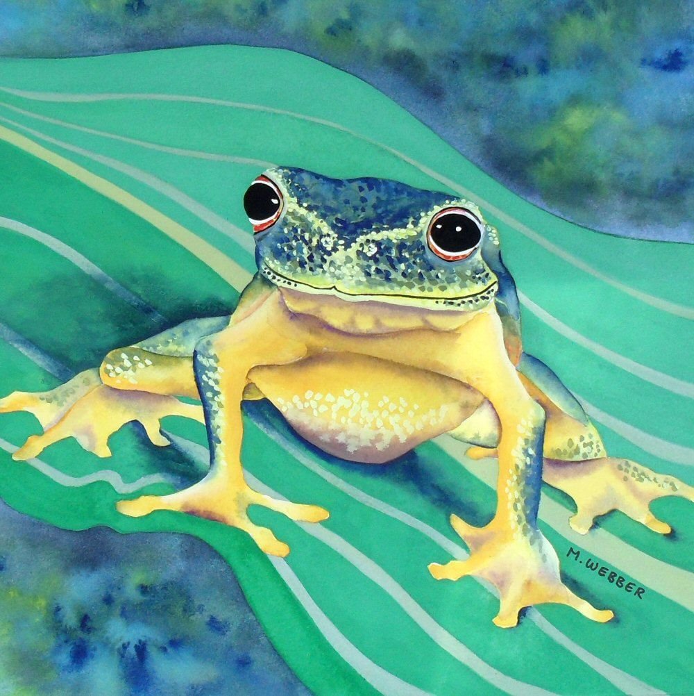 Птицеголосая квакша