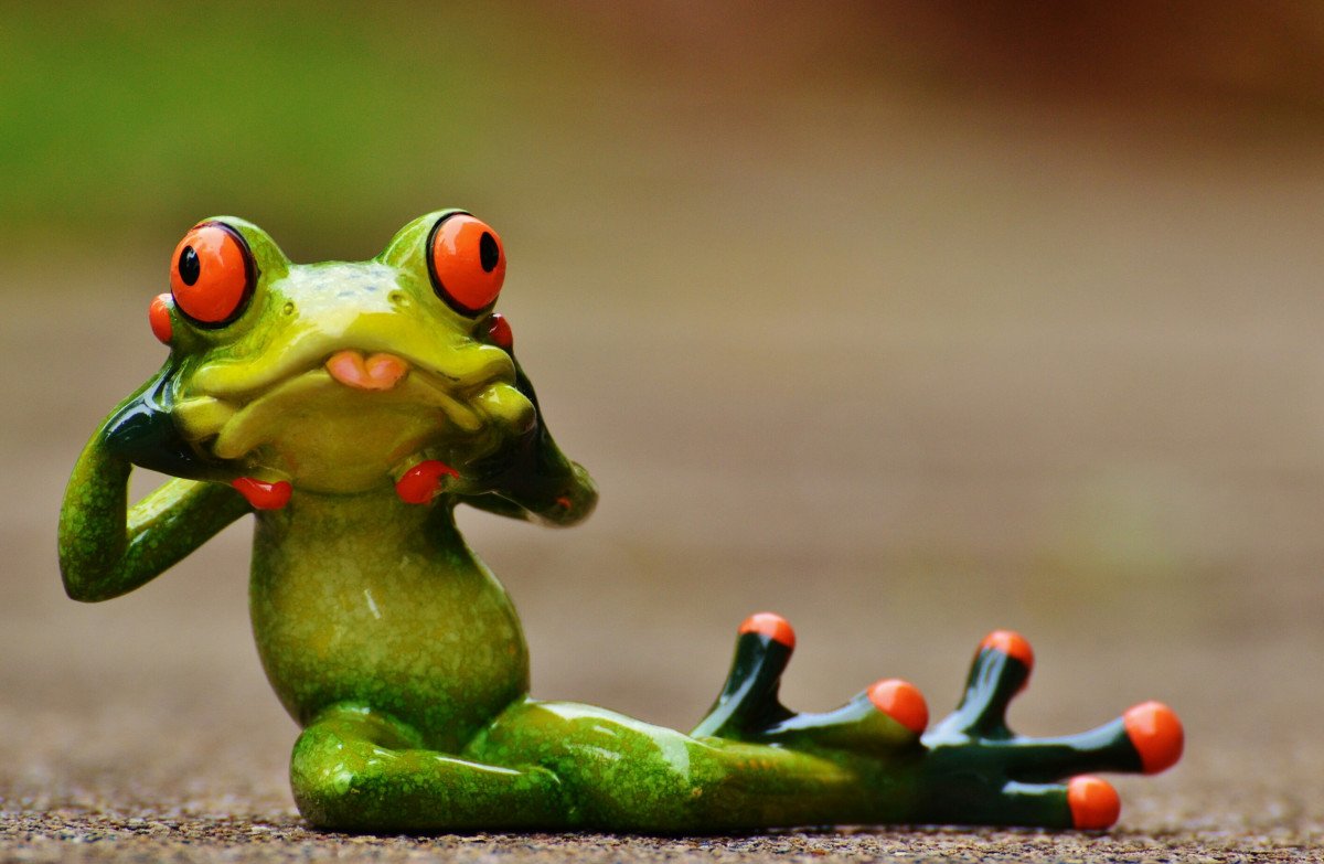 Красивые лягушки