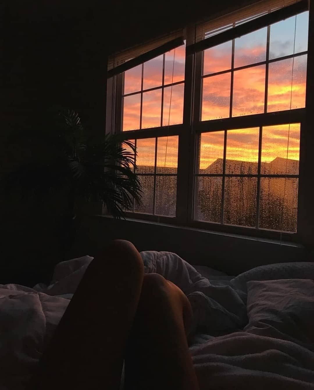 Уютная комната с окном