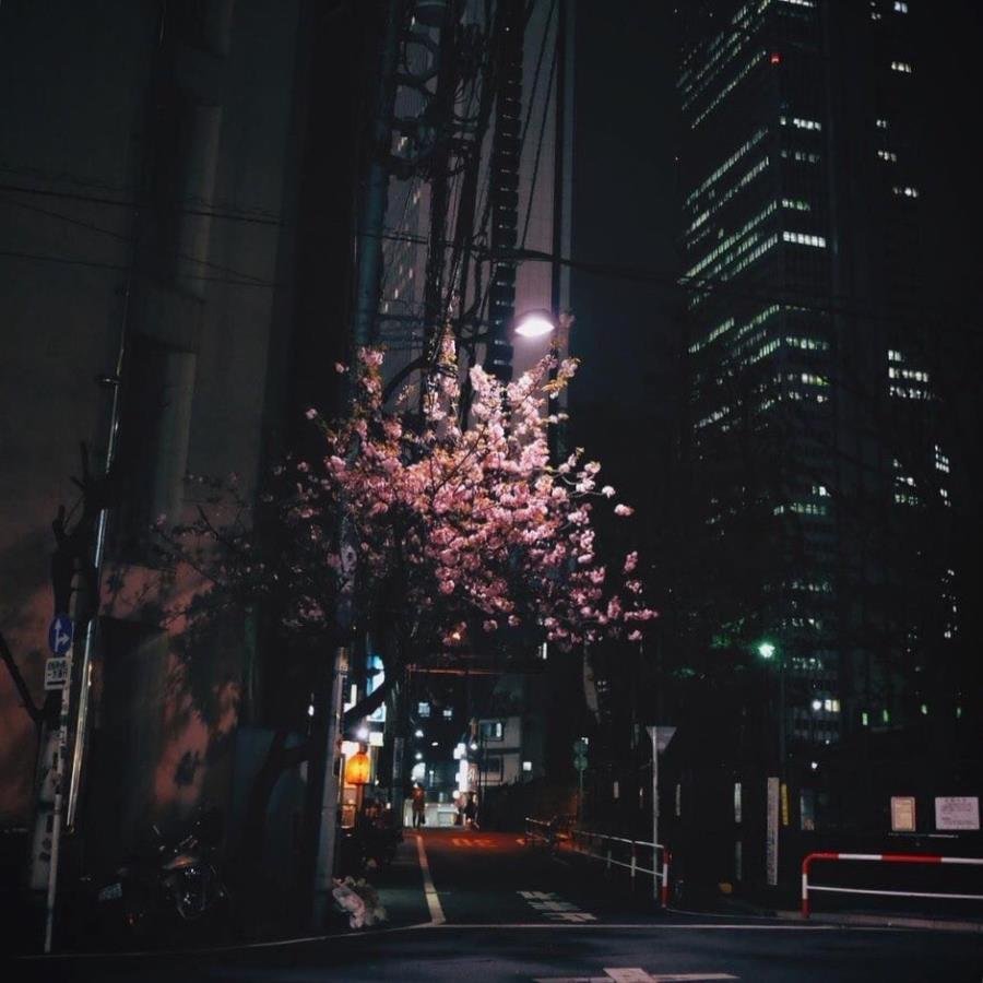 Корея Южная Сеул Эстетика чёрного ночной