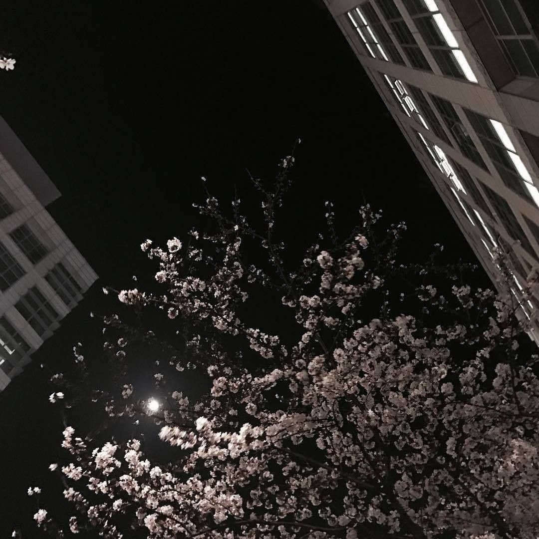 Эстетика вечера