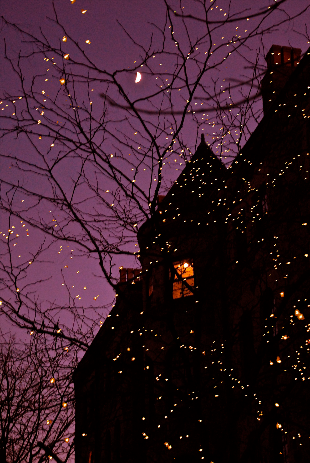 Ночная Эстетика