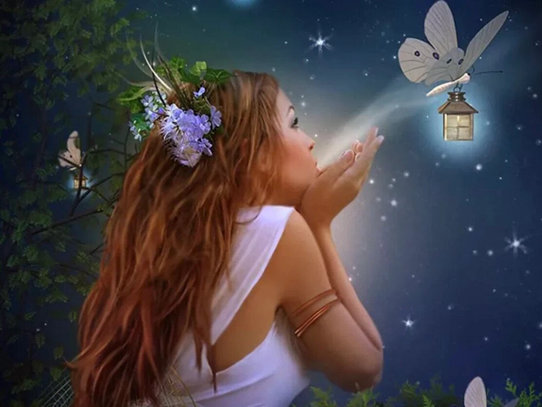 Красивые ночные цветы