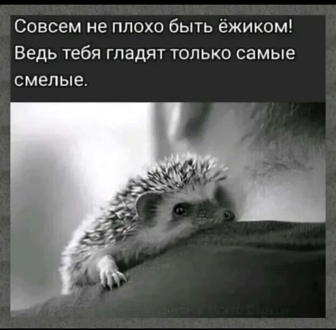 Пожелания на ночь