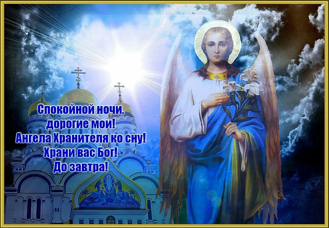 Ромашки в солнечных лучах