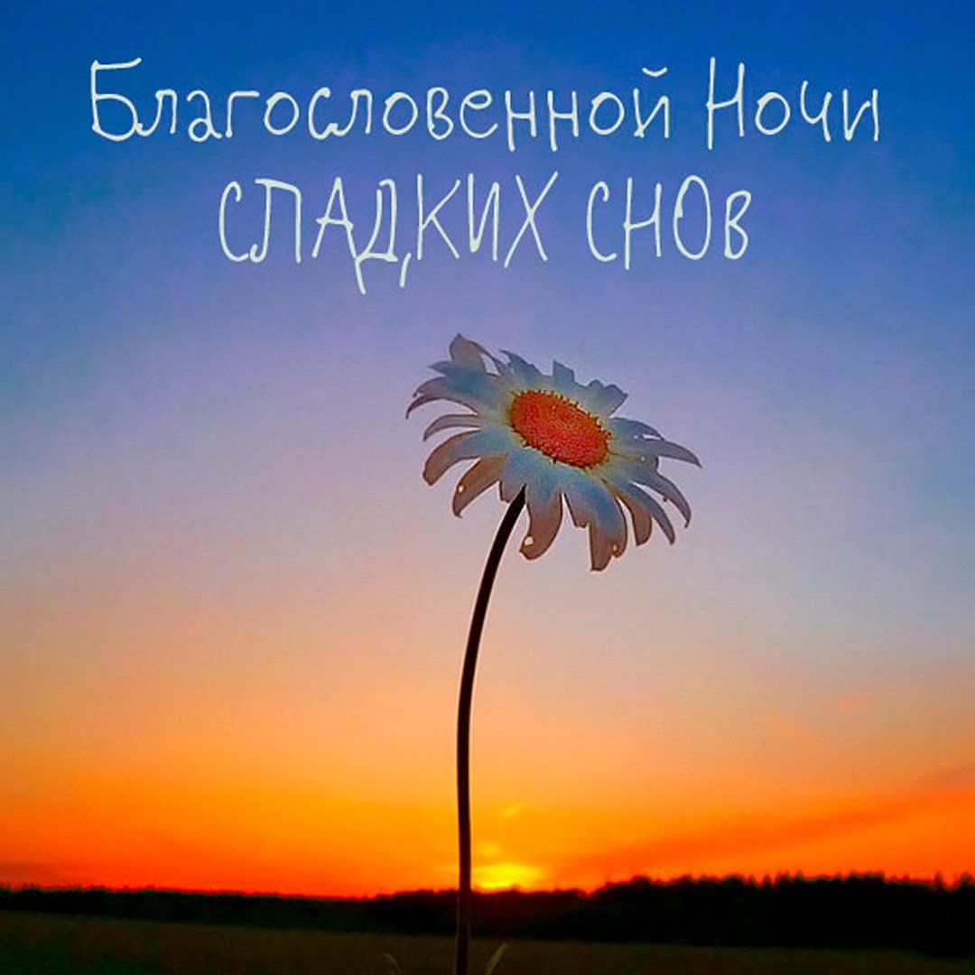 Приятного вечера и отличного настроения