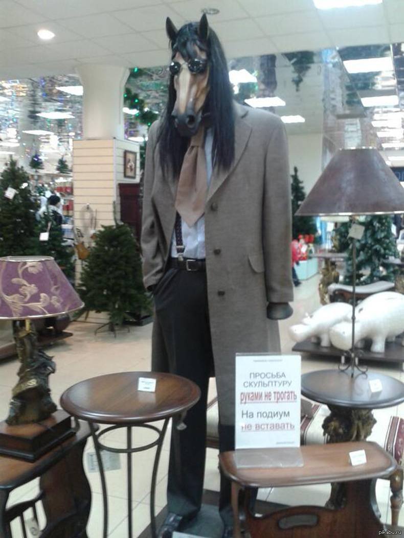 Конь в пальто юмор