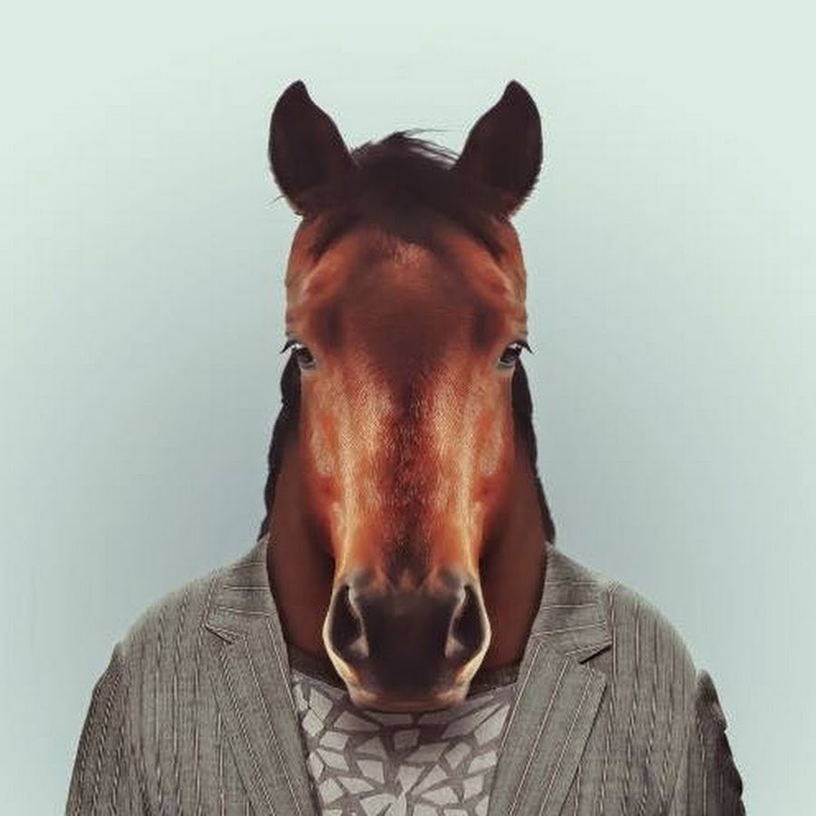 Конь БОДЖЕК Wallpaper