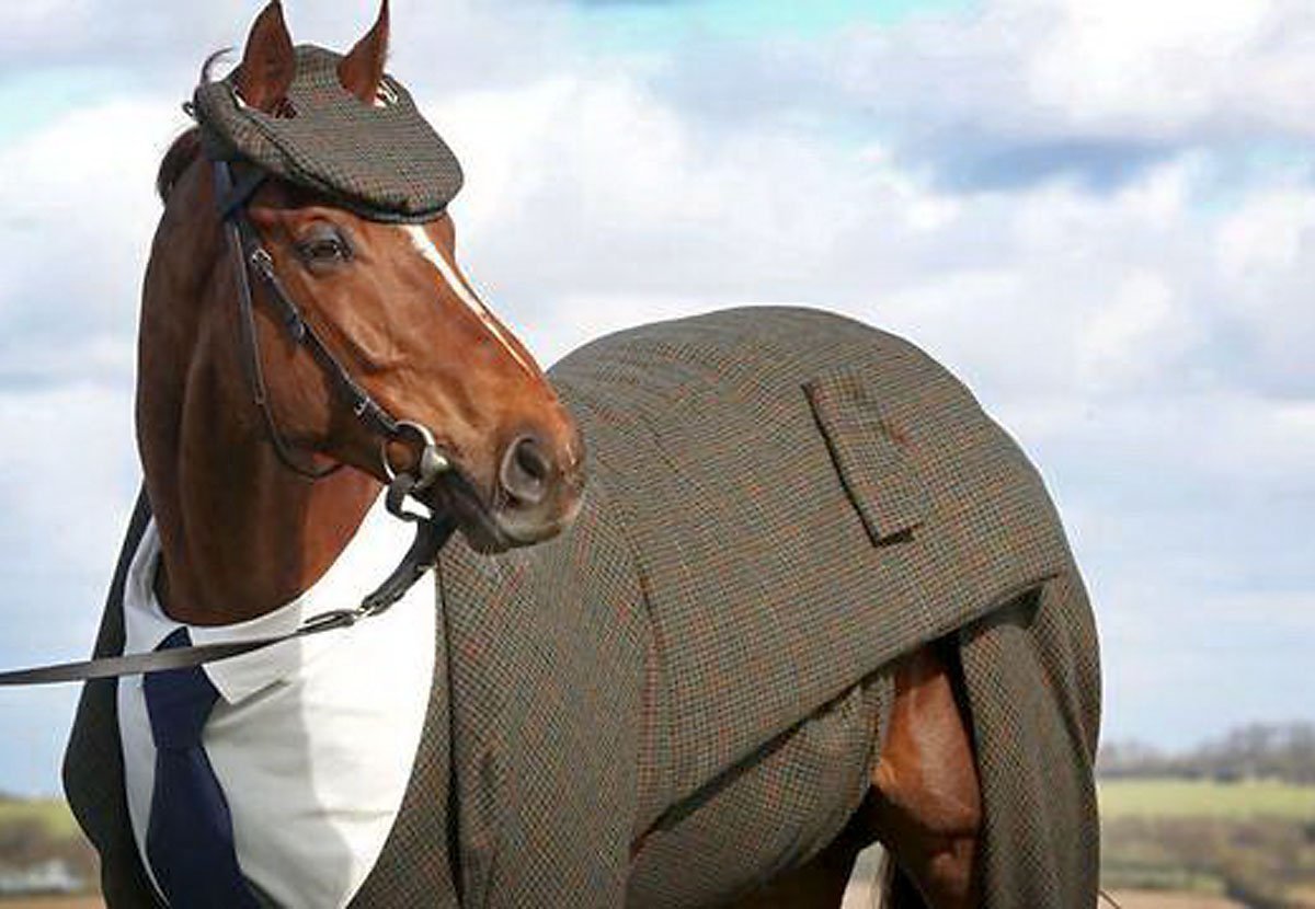 Лицо лошади