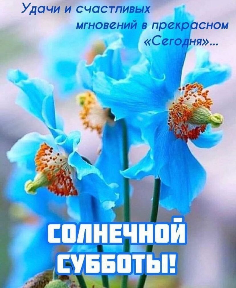 Нежной субботы доброе утро