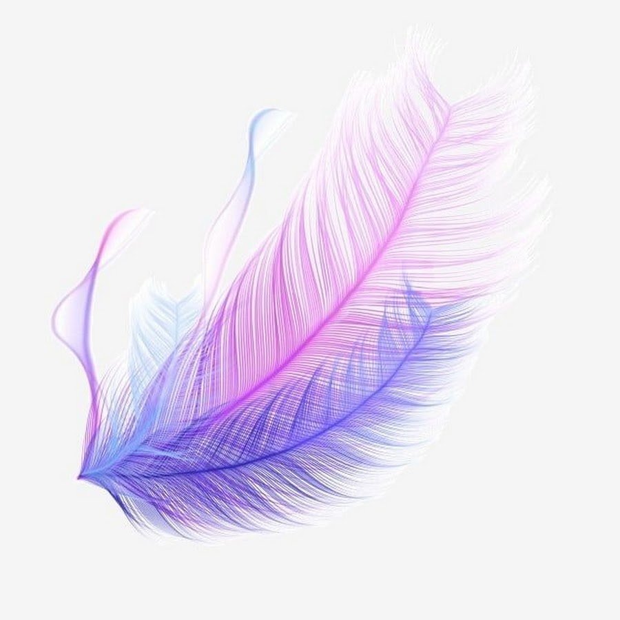 Разноцветные перышки