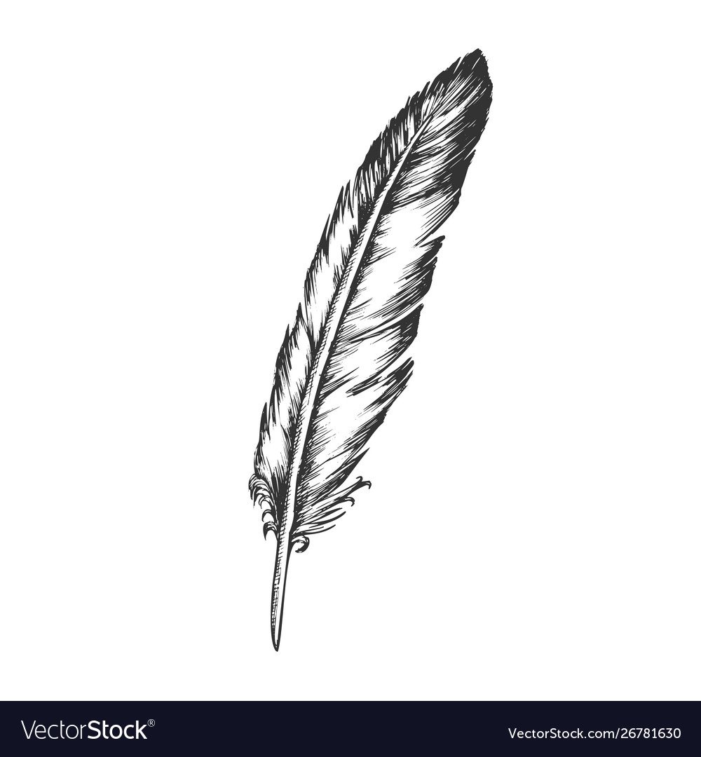 Элементы пера