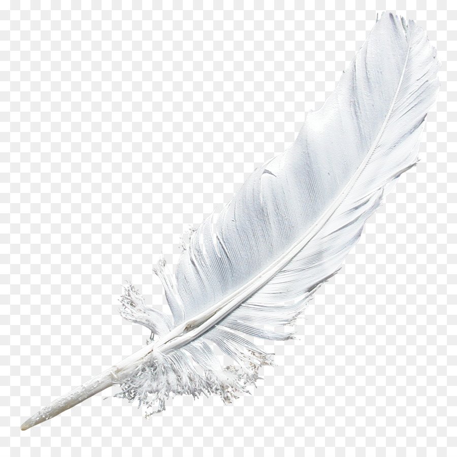 Красивое белое перо