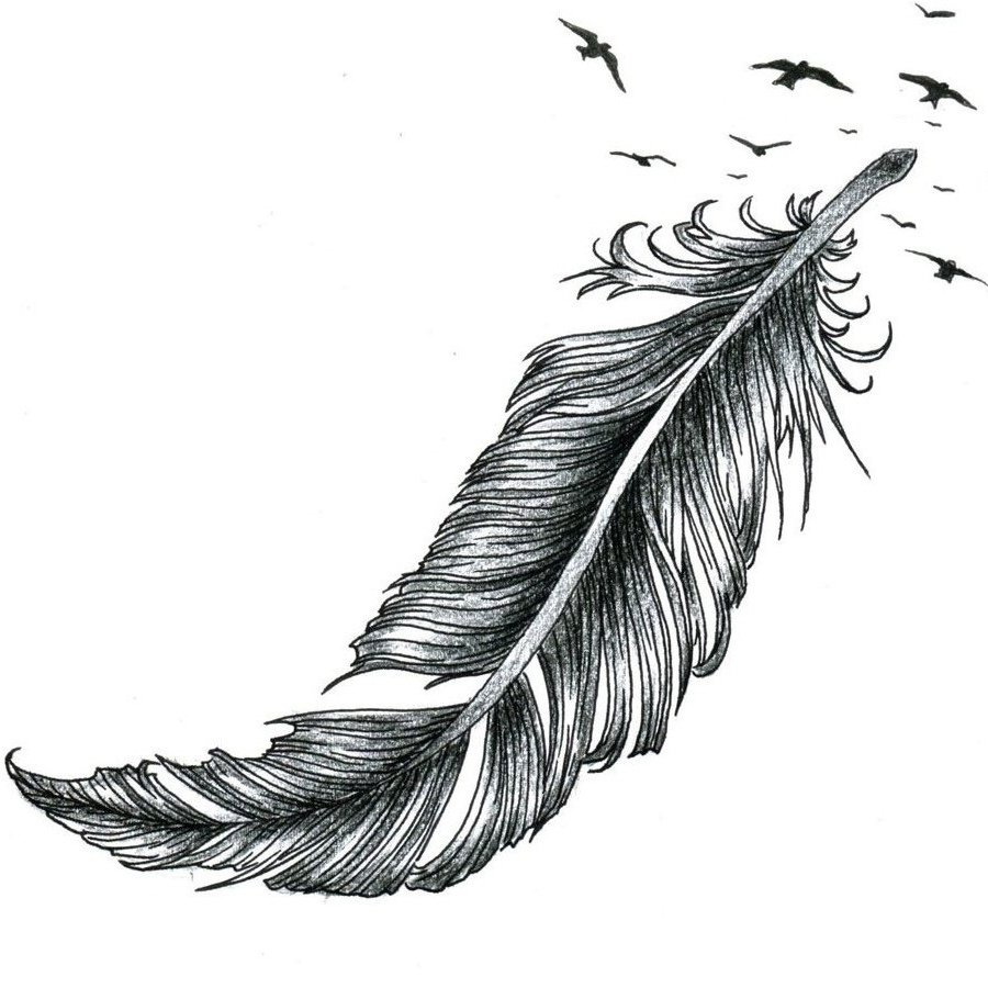 Тату перо на белом фоне