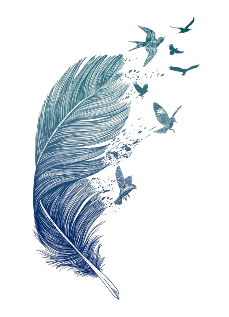 Красивое перо