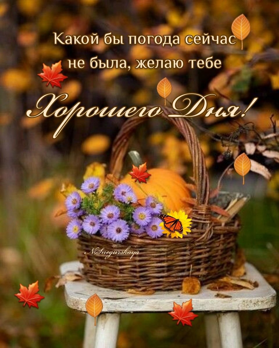 Хорошего дня и здоровья