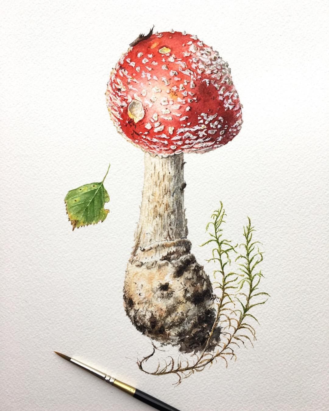 Шишкин мухоморы