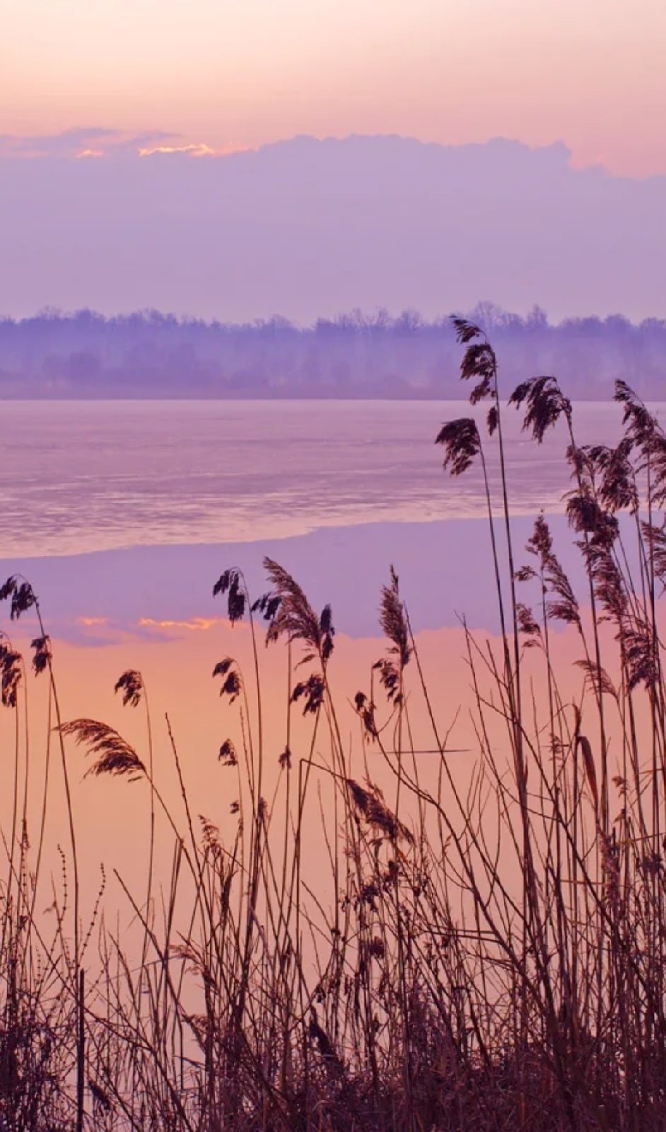 Женщина у реки