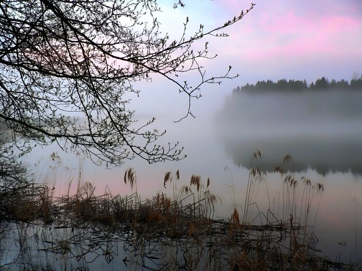 Туман над рекой