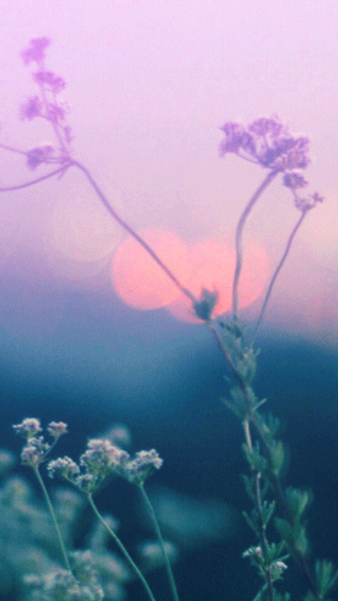 Девушка в поле в тумане