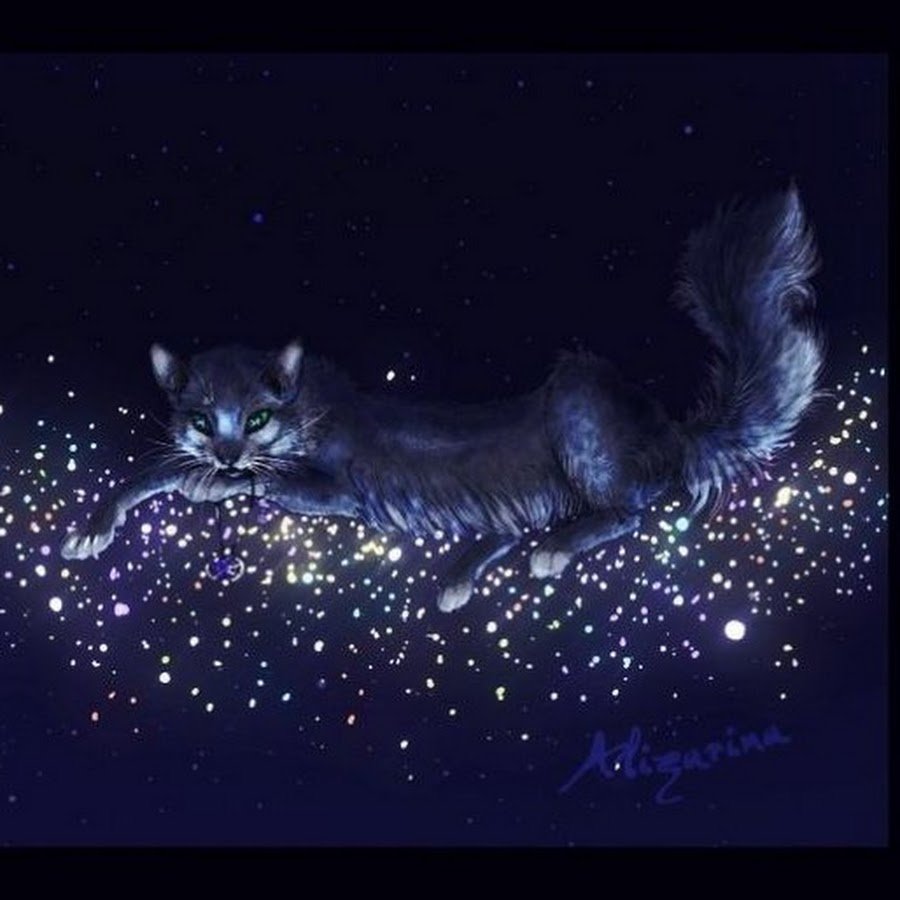 Беззвездное племя коты Воители