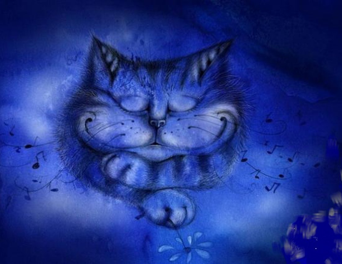 Синие котики