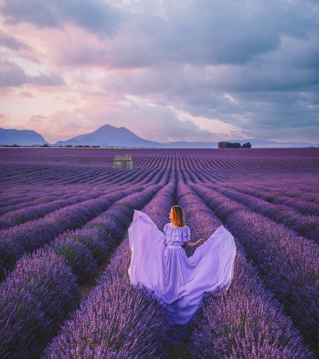 Фотосессия в лавандовом поле