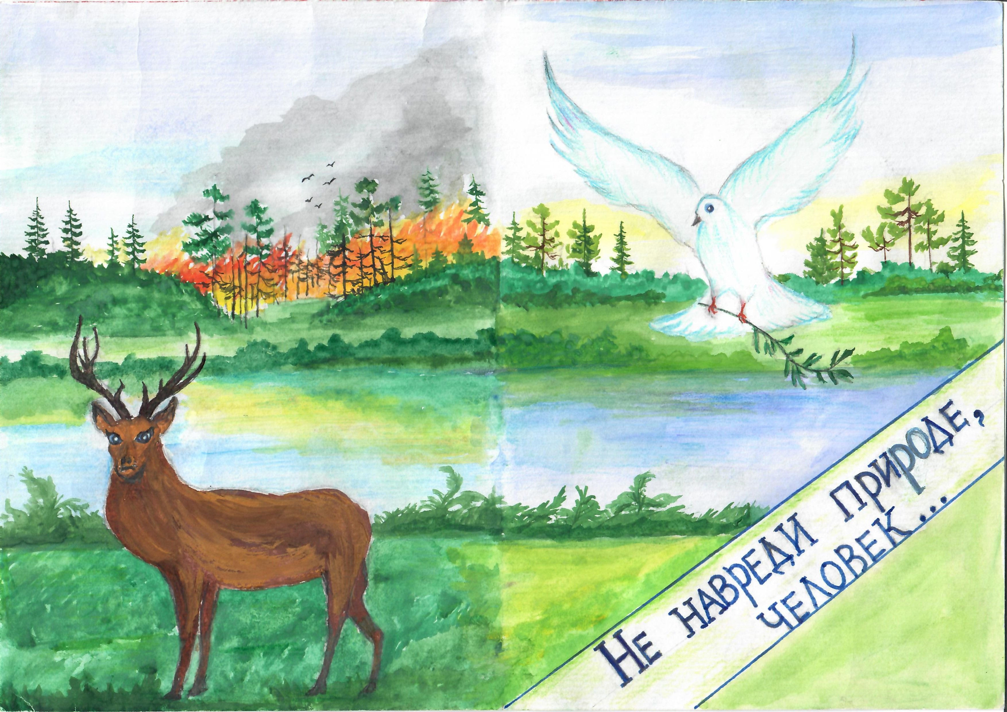 В защиту родной природы. Рисунок на тему сохраним природу. Рисунок на тему лес. Рисунок на тему защита природы. Рисунок на тему лес наше богатство.