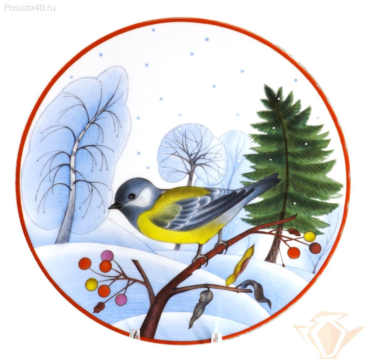 Зимующие птицы Нижегородской области