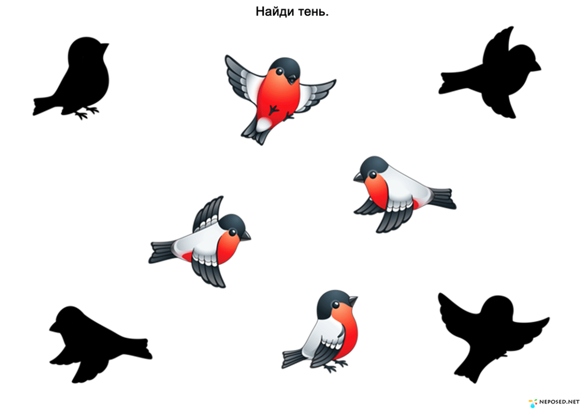 Папка зимующие птицы детям