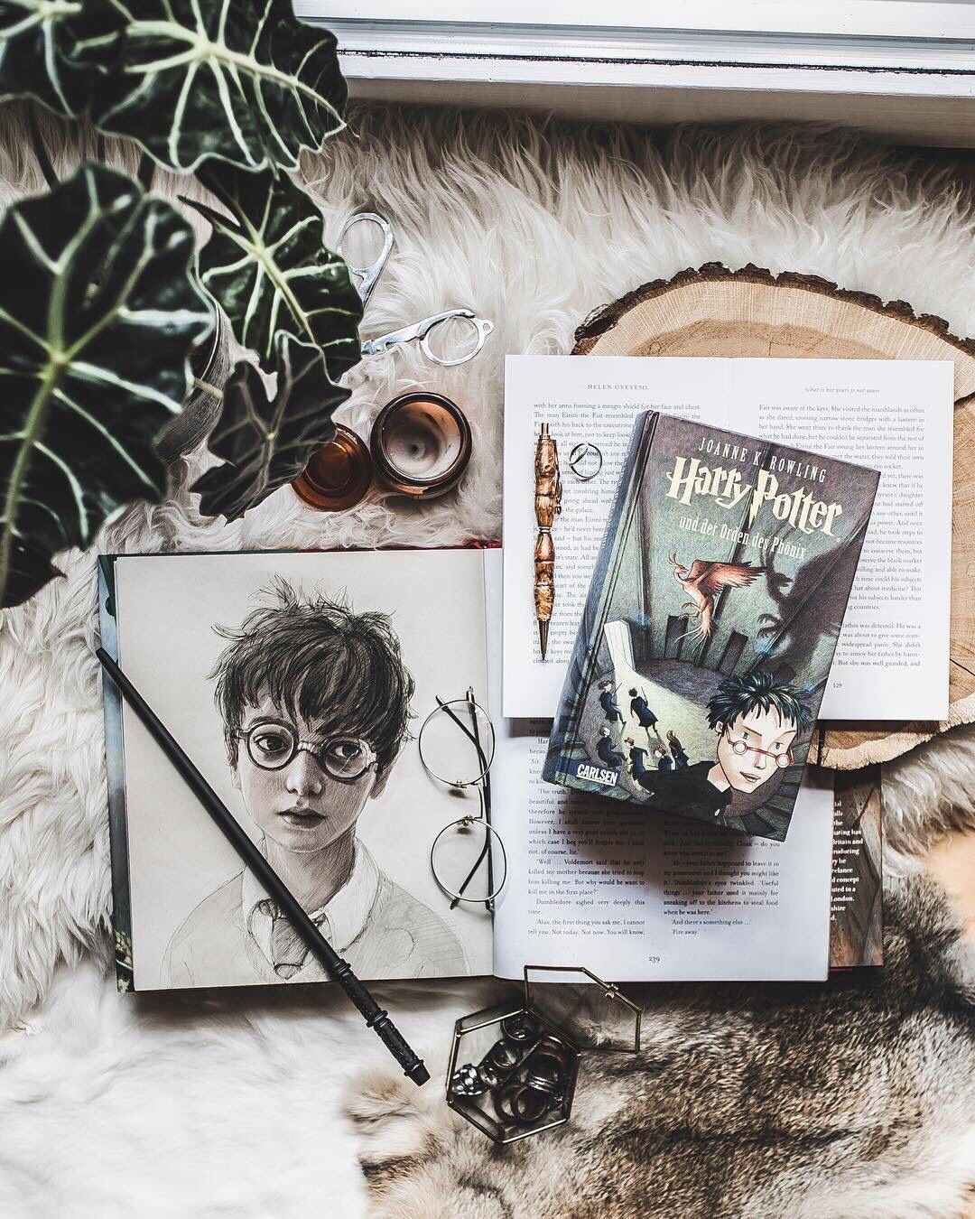 Книжная Эстетика Гарри Поттера