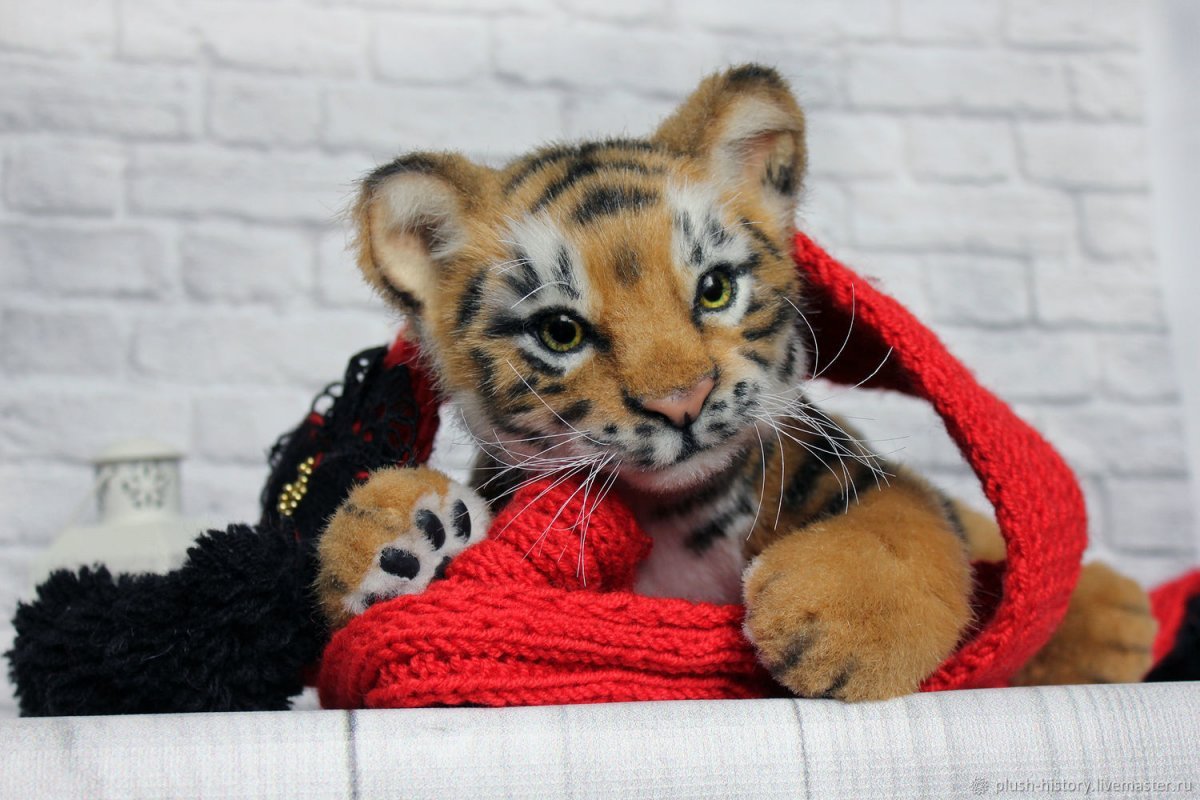 Тигрёнок Тигрёнок с 2022