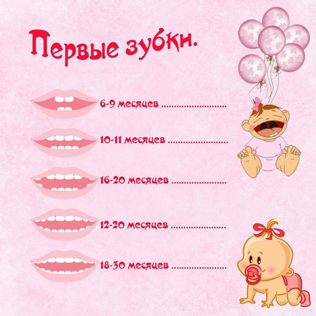 Первый зубик