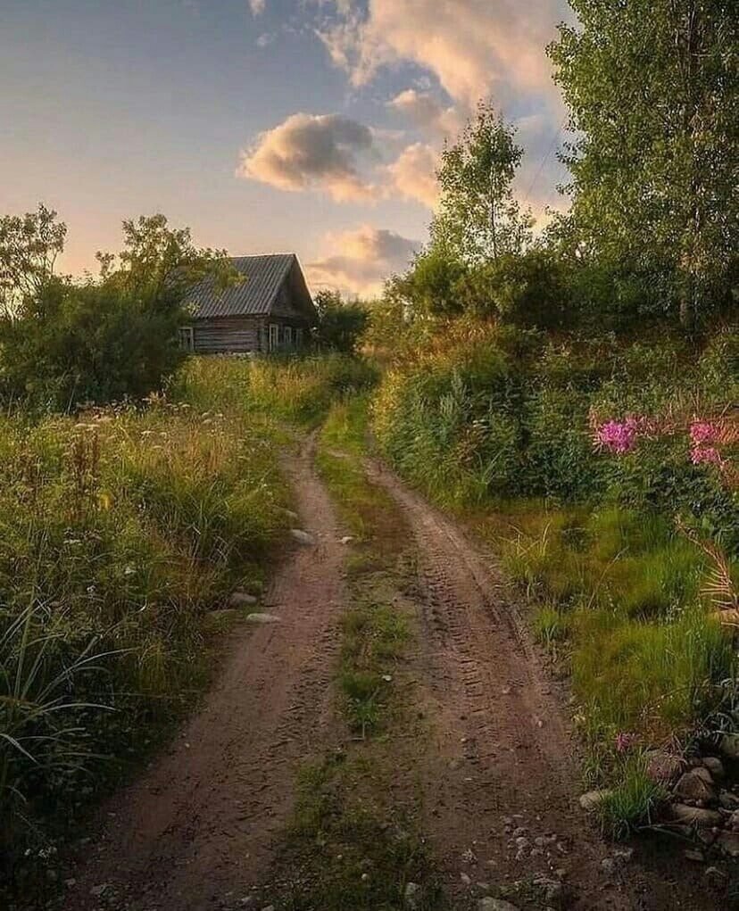 Эстетика деревни