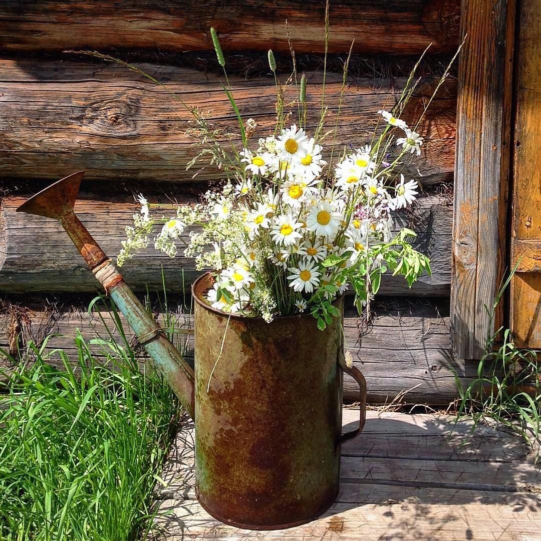 Вице Смильтэнэ Самарская область