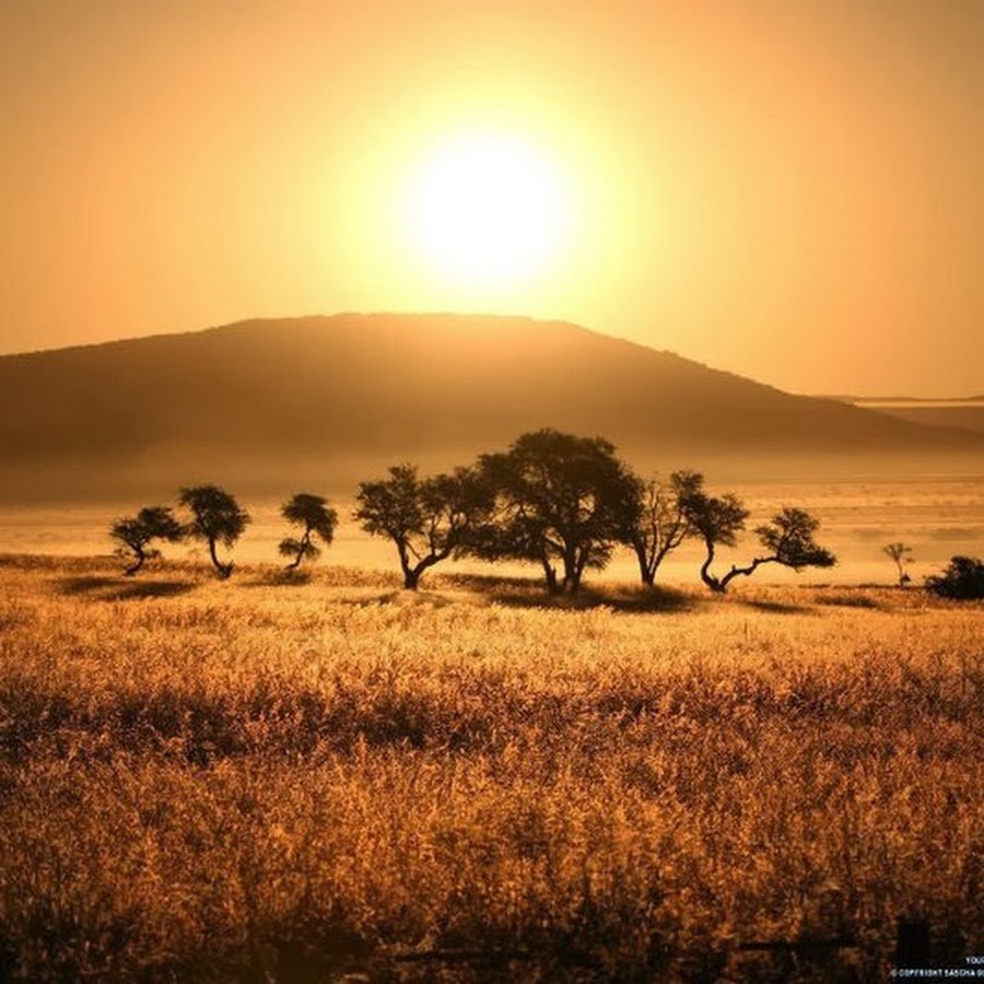 Масаи Мара национальный парк