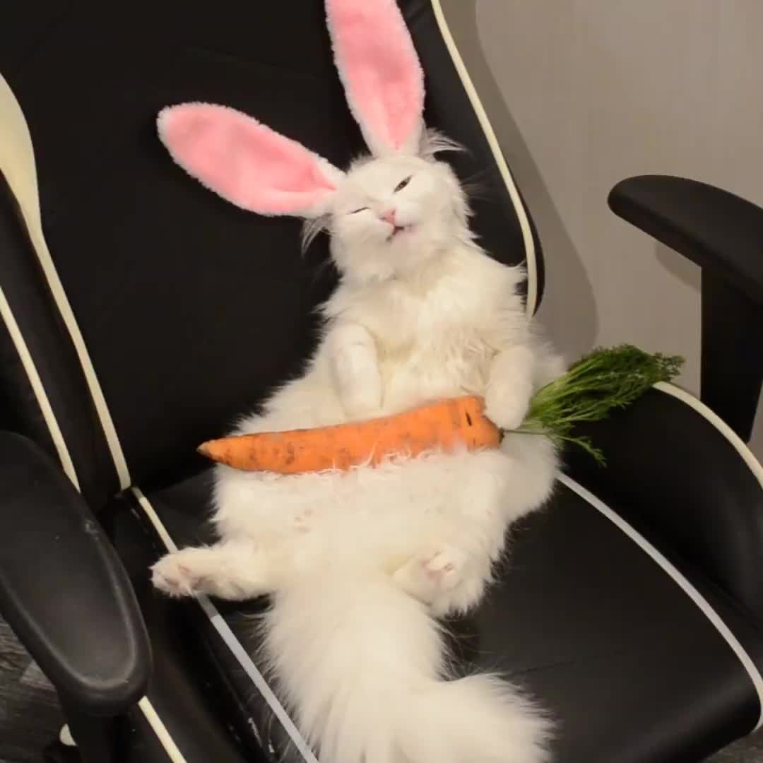 Милые пикчи