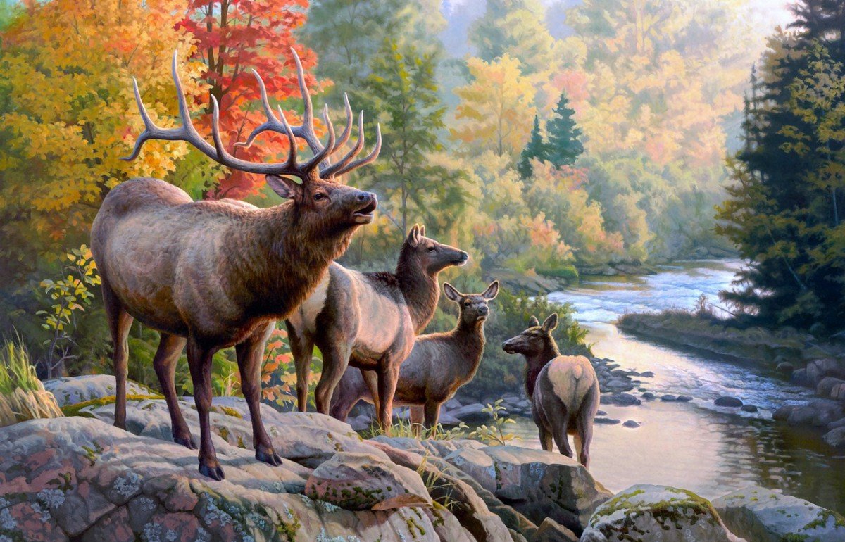 Красивый олень в лесу