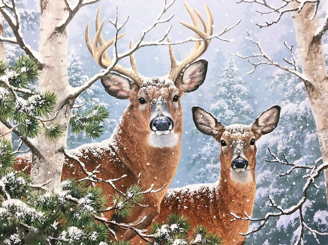 Животные на з