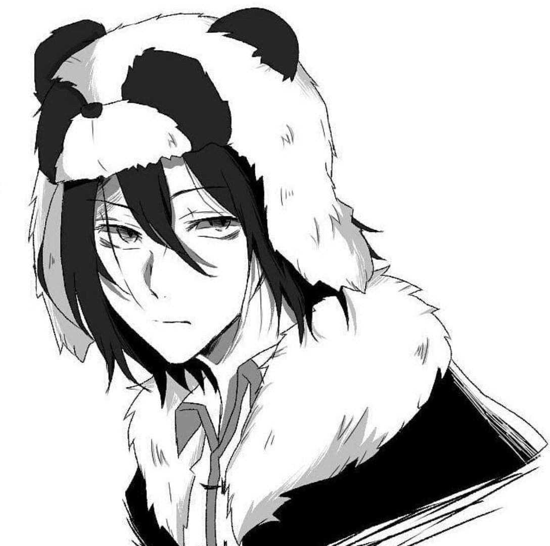 Фёдор Достоевский БСД