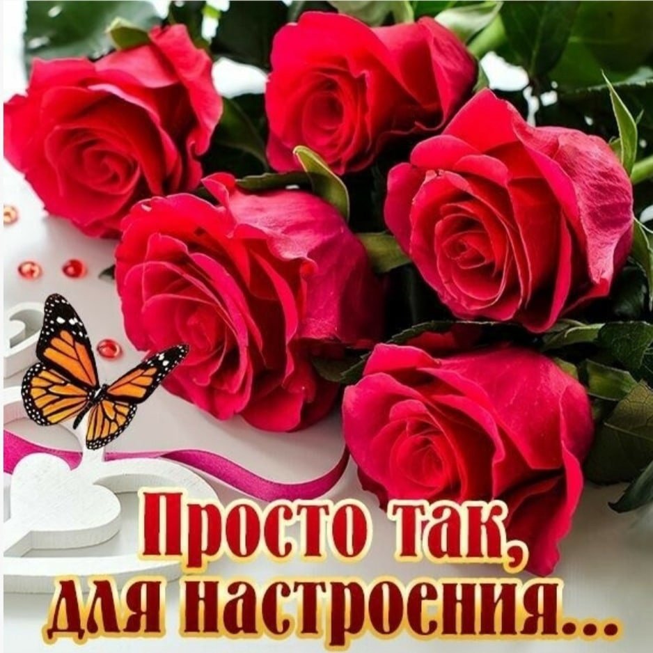 Цветы просто так для настроения