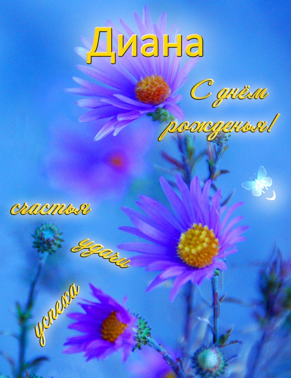 Поздравления с днём рождения