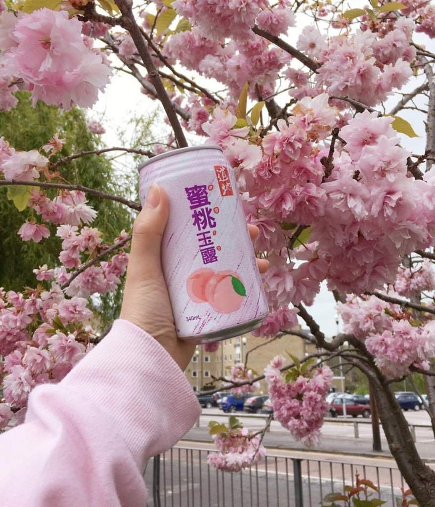 Весна в Японии Эстетика