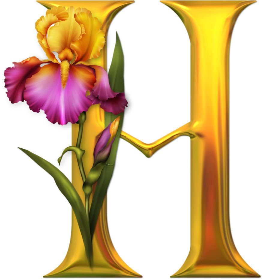 Цветочные буквы для оформления