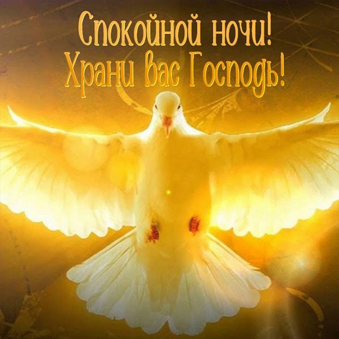 Святой дух в виде голубя