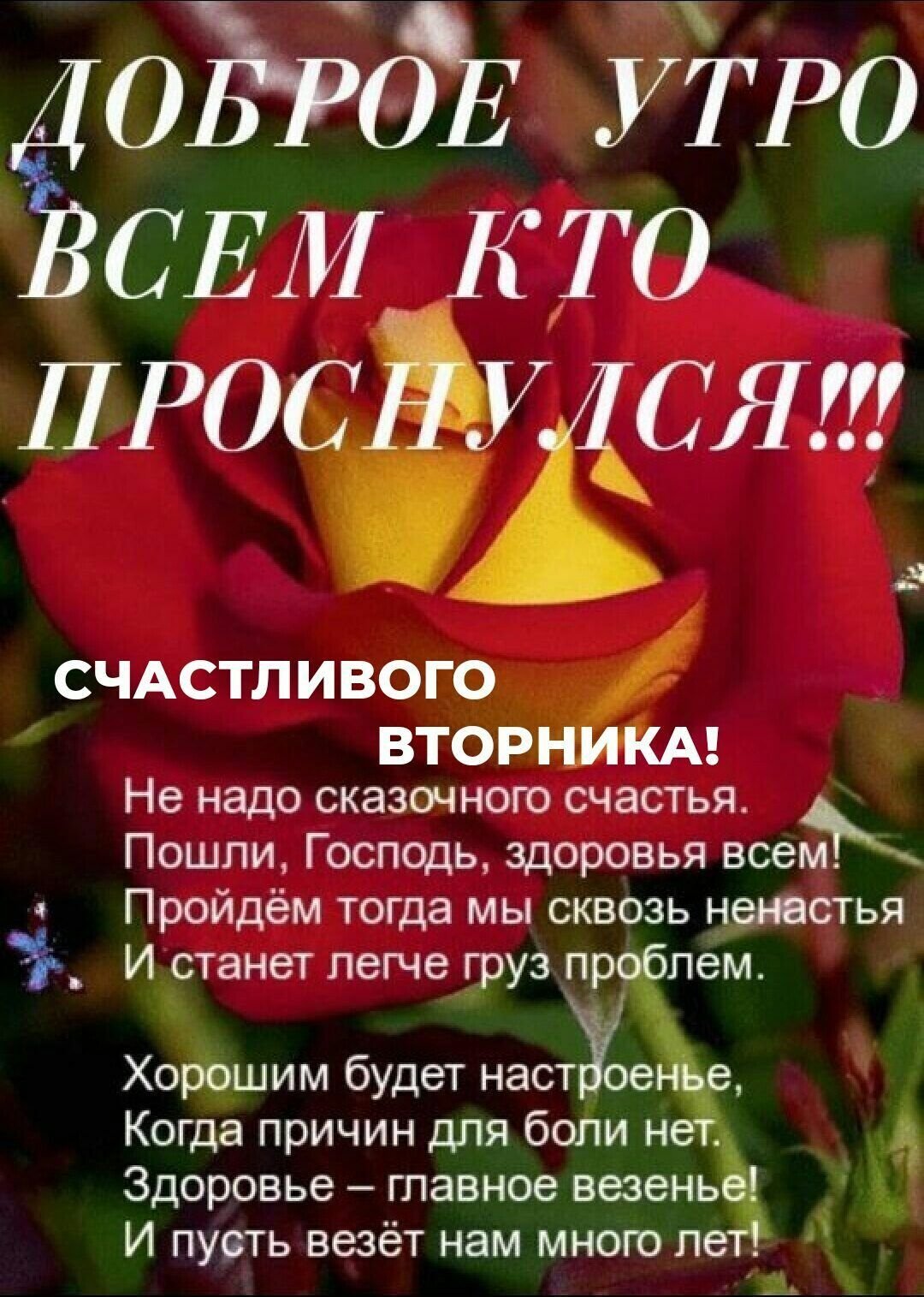 Не надо сказочного счастья пошли Господь