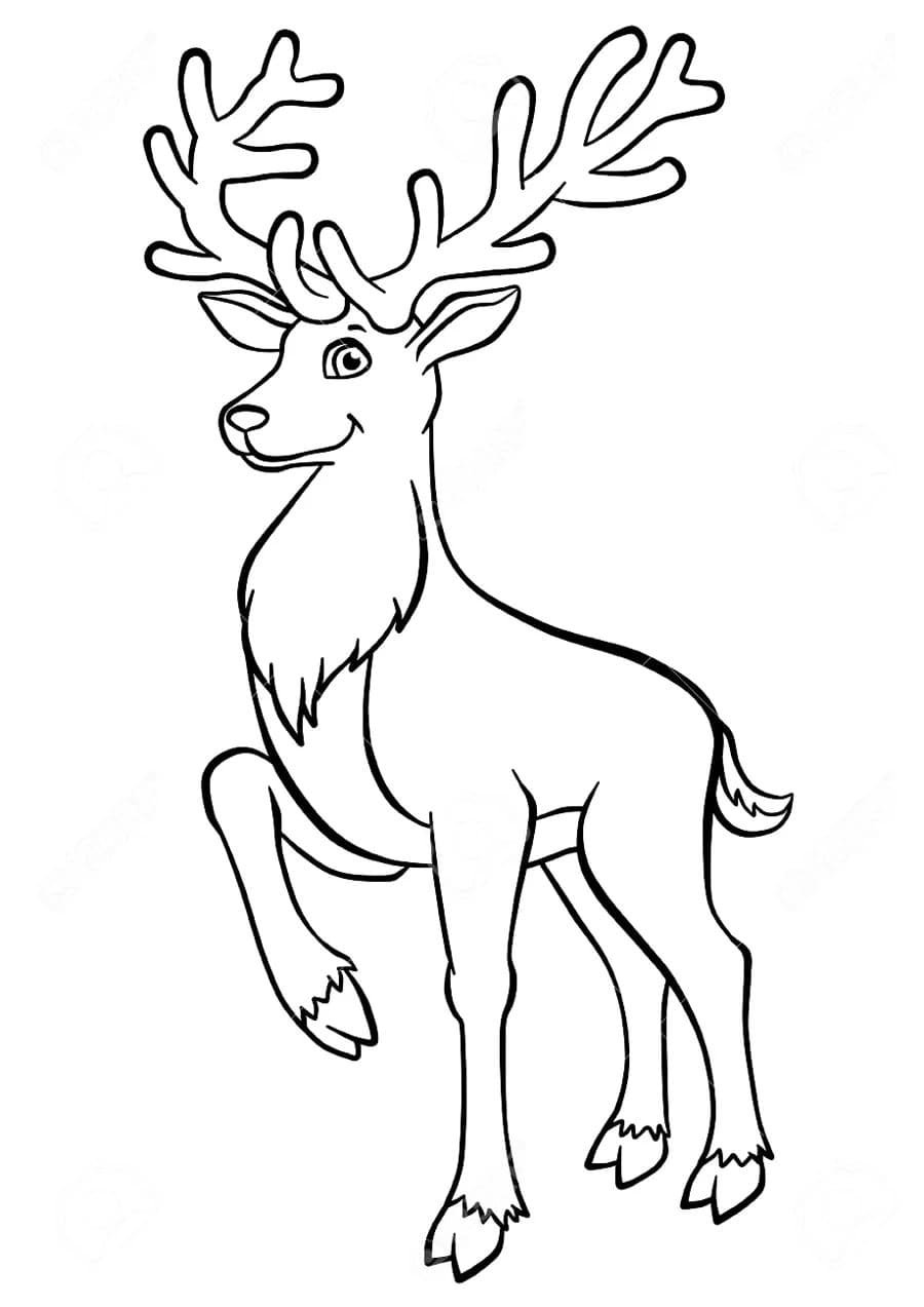 Графичный олень