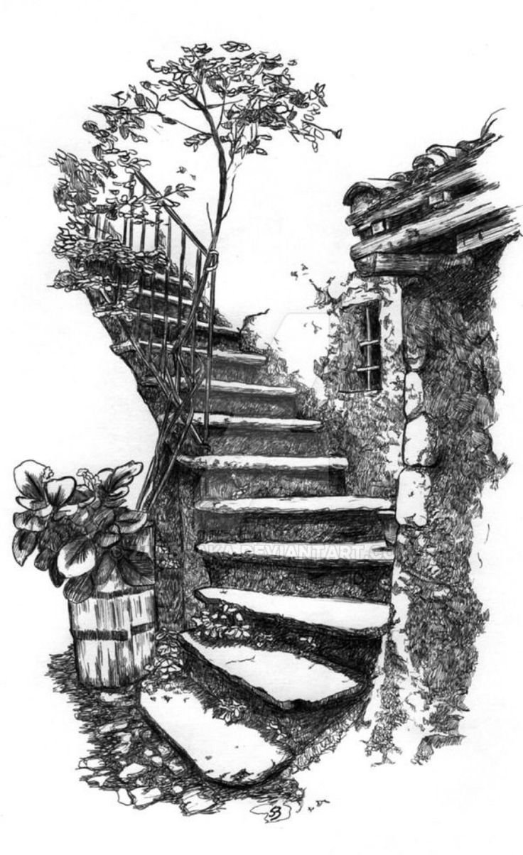 Лестница чб