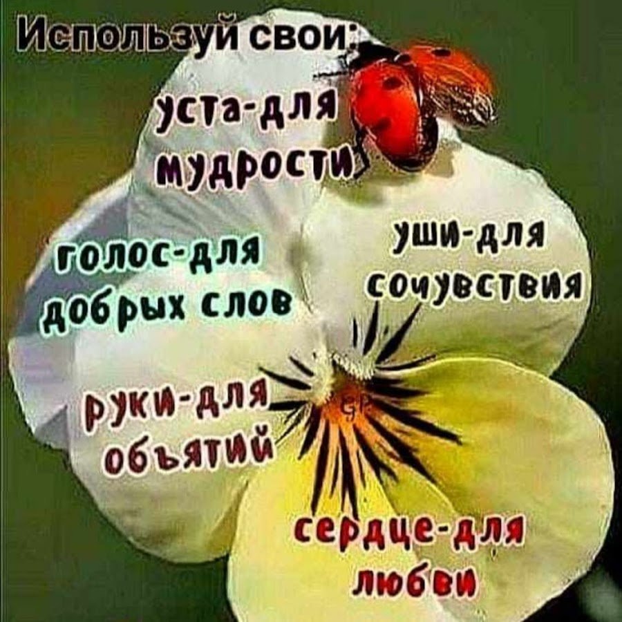 Позитивные цитаты